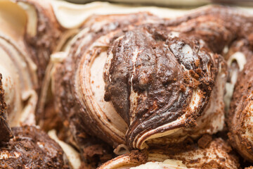 Frozen Cookie flavour gelato - full frame detail. Close up of a white and brown surface texture of ...