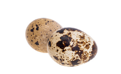 Obraz premium quail eggs isolated