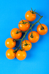 Branch of yellow cherry tomatoes on blue background