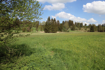 Landschaft Bayern - Oberbayern / Landscape Bavaria - Upper Bavaria /
