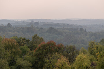 Hilly terrain with layers of forest in the mist at dusk in early autumn, autumn landscape