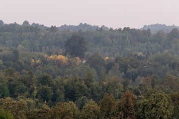 Landscape with a country house under a large tree surrounded by forest, haze at dusk in autumn