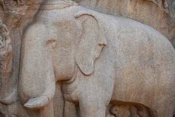 Bas relief rock cut sculptures of Elephant are carved in the monolithic granite rocks in...