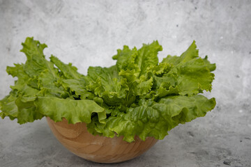 Fresh lettuce leaves in a wooden plate on a gray background.
