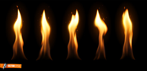 Vector realistic illustration of flames on a black background.