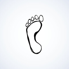 Foot. Vector drawing