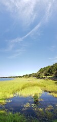 Fototapeta na wymiar View of Lake Minneola during a summer day, Clermont, Florida