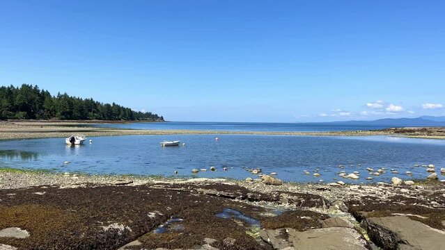 Low tides in the Pacific Ocean on Vancouver Island in Canada are visible to my fellow countrymen and somewhere on the pier there is a ship that may soon capsize because the water is leaving.