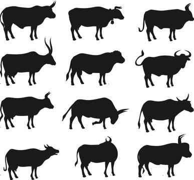 Farm animal cow isolated Vector Silhouettes