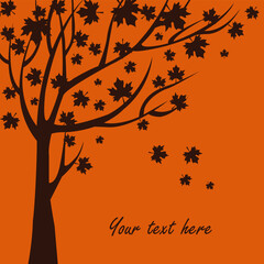 Autumn tree for your design