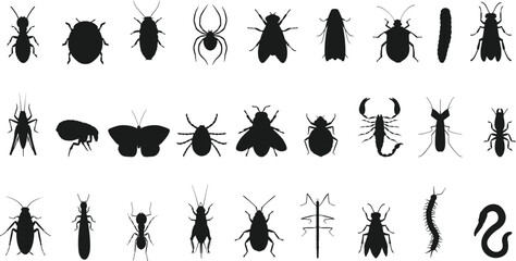 Insect beetle isolated bug fly beetle isolated Vector Silhouettes - obrazy, fototapety, plakaty