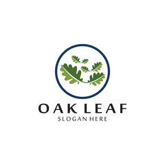 vector oak leaf logo template