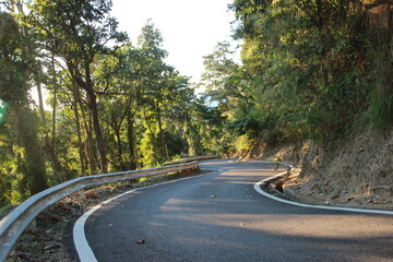 curve road down hill with tree forest