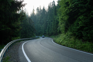 Obraz premium Dark winding road in forest at sunrise