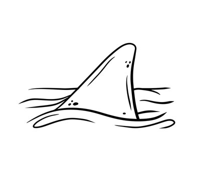 Shark fin. Predatory fish under water with waves. Drawing for print