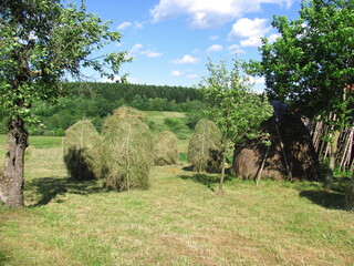 Haystacks in the garden
