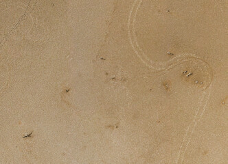 Overhead drone view of the cracked soil at the bottom of a marsh due to drought. Dead trees, footprints and different textures. High resolution photo. Concept of climate change and drought. Spain.