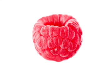 One ripe red raspberry