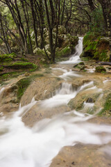 Fototapeta premium Torrente Es Freu. Orient, Sierra de Tramuntana. Mallorca. Balearic Islands. Spain.
