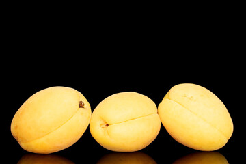 Three bright yellow juicy pineapple apricots, macro, isolated on a black background.