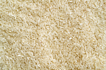 Background, texture, white rice.