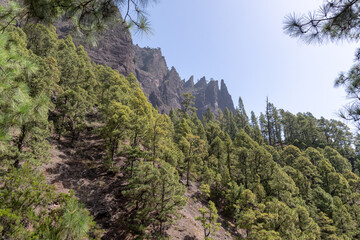 Parque Nacional de la Caldera de Taburiente. La palma, Islas canarias, Espa&ntilde;a