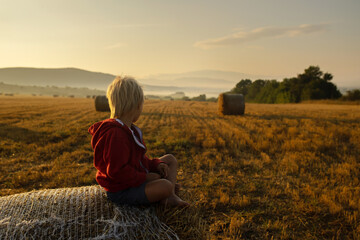 Naklejka na ściany i meble Sweet toddler child, boy, sitting on a haystack in field on sunrise