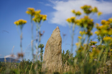 menhir de Bassouse, sendero arqueologico de Eyne, pirineos catalanes, comarca de Capcir, Francia © Tolo