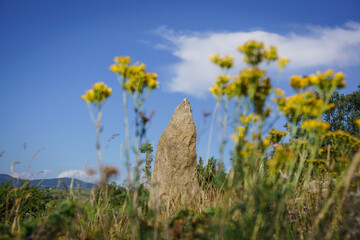menhir de Bassouse, sendero arqueologico de Eyne, pirineos catalanes, comarca de Capcir, Francia © Tolo