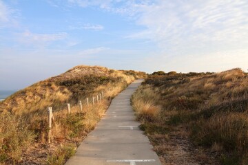 Dunes en bord de mer avec sentier pédestre. Dishoek. Les Pays-Bas.
