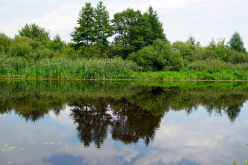 View of the left bank of the Berezina River near the Brilev field. Reflection. Hot summer day in August.