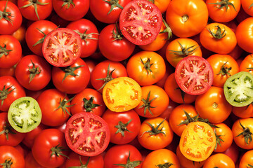 Juicy ripe fruits of red and yellow tomatoes. Food background.
