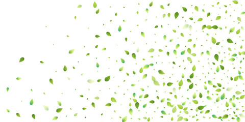 Leaves Green Falling Flying Foliage Leaf Tea Mint