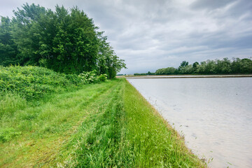 campos inundados por arrozales, cerca de Novara, Piamonte,  Italia, Europa
