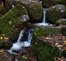 Water flowing down rocks covered with green moss at Gaisholl waterfalls in the Black Forest of Germany on a fall day.