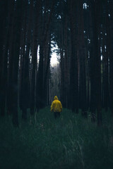 Spacer w mrocznym lesie