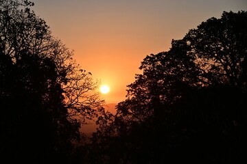 sunrise between the trees