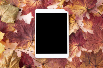 Digital tablet mock-up and autumn leaves, pink background. Online shopping, studying, sales mockup. Minimalist fall flat lay, top view, copy space. Internet application template
