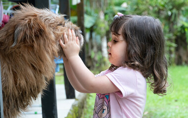 Menina, criança, fazendo carinho em um grande cão.