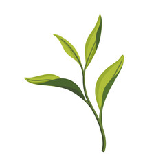 Branch of green tea. Flat vector colorful illustration.