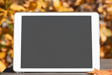 Tablet with a blank screen on the table against the backdrop of an autumn park. Template for design or advertising