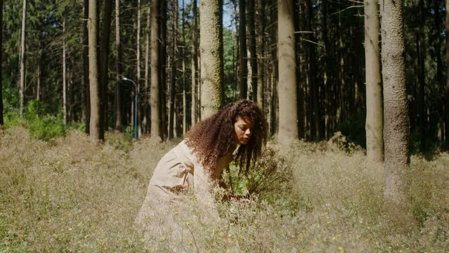 A woman picks wild flowers at the edge of the forest