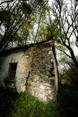 Abandoned / Haunted House