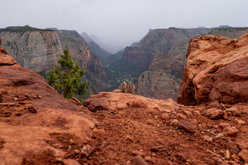 Observation Point Zion NP Utah USA
