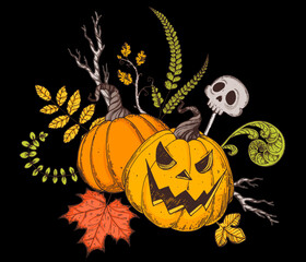 Halloween Pumpkin illustration. Hand drawn vector illustration. Jack o Lantern. Autumn bouquet. Vintage design for the holiday Halloween. Design elements