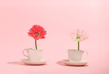 White cups with red and pink flower. Minimal spring concept for socializing with coffee or tea