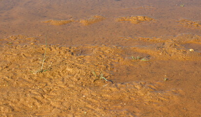 lama com poça de água, poça de água formada pela chuva, lama e poça d'água