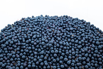 Heap of  ripe black elderberries (Sambucus nigra)