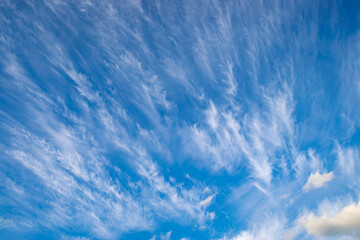 Cirrus intortus or tangled cirrus clouds in the blue sky. Suitable as background or wallpaper.