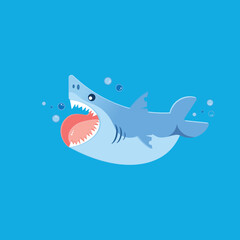 shark sea seafood fish